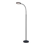 Торшер Lussole LSP-0918 AMADOR