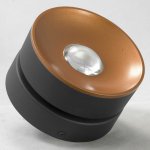 Светильник поворотный спот Lussole LSP-8017 JUNEAU