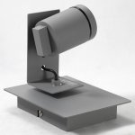 Светильник поворотный спот Lussole LSP-8022 DILLINGHAM