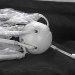 Люстра Lussole LSP-8269 KENNER