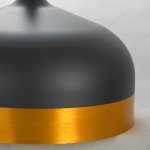 Подвесные светильники Lussole LSP-8454 Garfield