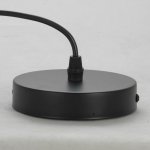 Подвесные светильники Lussole LSP-8454 Garfield