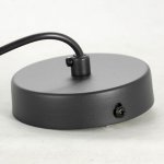 Подвесные светильники Lussole LSP-8525 Monroe