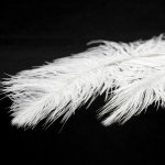 Люстры потолочные Lussole LSP-8600 Cuscino