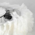 Люстры подвесные Lussole LSP-8602 Cuscino