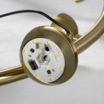 Люстры подвесные Lussole LSP-8643 Coosa