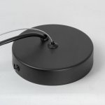 Подвесной светильник Lussole LSP-8924 MILLER