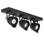 Светильник поворотный спот Lussole LSP-9507 MONTGOMERY