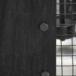 Подвесной светильник Lussole LSP-9513 SELMA