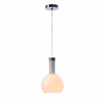 Светильник подвесной Lussole LSP-9637