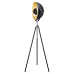 Торшер прожектор Lussole Loft LSP-9824 Sherrelwood