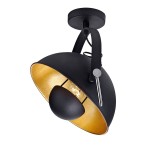 Светильник потолочный прожектор-фара Lussole Loft LSP-9825 SHERRELWOOD