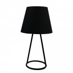 Настольный светильник Lussole LSP-9904 PERRY