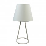 Светильник настольный Lussole Loft LSP-9906