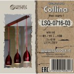 Люстра подвесная Lussole LSQ-0716-03 COLLINA
