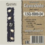 Светильник поворотный спот Lussole LSQ-6909-04 CEVEDALE