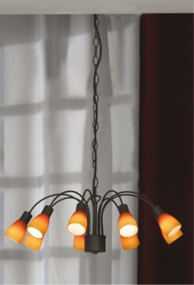 Люстра Lussole LSQ-8503-09 Raccolana