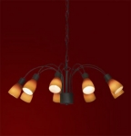 Люстра Lussole LSQ-8503-09 Raccolana