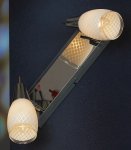 Светильник поворотный спот Lussole LSX-4801-02 CARLINO