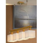 Светильник подвесной Lussole LSF-2503-04 MONTONE