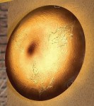 Светильник потолочный Lussole Lsn-0902-01