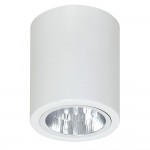 Luminex DOWNLIGHT ROUND 7234 потолочный светильник