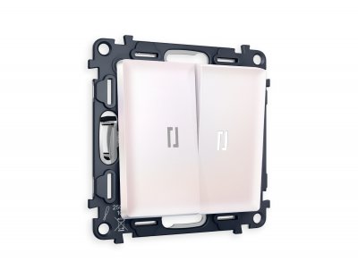 Комплект механизма 2-клавишного выключателя с подсветкой 5600K ALFA MA204015 Жемчуг QUANT Ambrella Volt