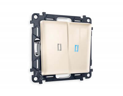 Комплект механизма 2-клавишного выключателя с подсветкой 10000K ALFA MA304020 Бежевый глянец QUANT Ambrella Volt Комплект механизма 2-клавишного выключателя с подсветкой 10000K ALFA MA304020 Бежевый глянец QUANT Ambrella Volt