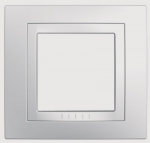 Рамка 1-ая литая MGU2.002.18M