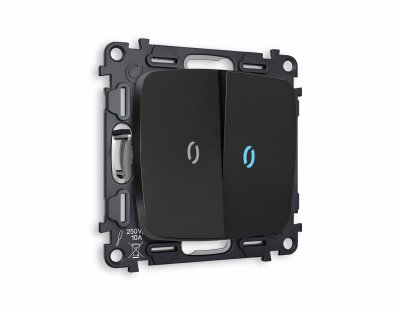 Комплект механизма 2-клавишного проходного выключателя с подсветкой 10000K OMEGA MO804040 Черный матовый QUANT Ambrella Volt Комплект механизма 2-клавишного проходного выключателя с подсветкой 10000K OMEGA MO804040 Черный матовый QUANT Ambrella Volt