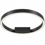 Потолочный светильник Maytoni MOD058CL-L25BK Rim
