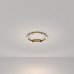 Потолочный светильник Maytoni MOD058CL-L25BSK Rim