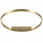 Потолочный светильник Maytoni MOD058CL-L35BSK Rim