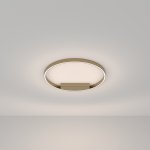 Потолочный светильник Maytoni MOD058CL-L35BSK Rim