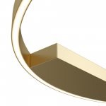 Потолочный светильник Maytoni MOD058CL-L50BSK Rim