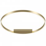 Потолочный светильник Maytoni MOD058CL-L50BSK Rim