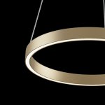 Подвесной светильник Maytoni MOD058PL-L22BS4K Rim