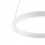 Подвесной светильник Maytoni MOD058PL-L22W4K Rim