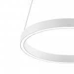 Подвесной светильник Maytoni MOD058PL-L22WK Rim