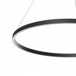 Подвесной светильник Maytoni MOD058PL-L54BK Rim