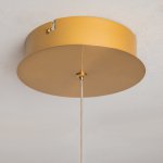 Подвесной светильник Maytoni MOD340PL-L20BS3K Plume