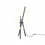 Настольный светильник Maytoni MOD369TL-L15B3K