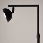 Напольный светильник торшер Maytoni MOD372FL-L10B3K Pikant