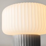 Настольный светильник Maytoni MOD404TL-01GR