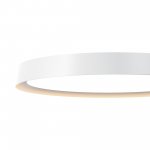 Потолочный светильник Maytoni MOD426CL-L43WK