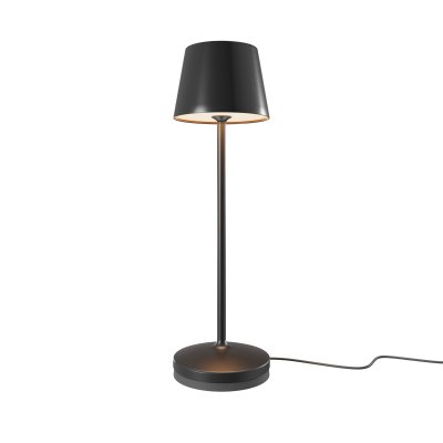 Аккумуляторный светильник Maytoni MOD494RL-L1BK