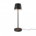 Аккумуляторный светильник Maytoni MOD494RL-L1BK