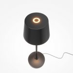 Аккумуляторный светильник Maytoni MOD494RL-L1BK