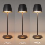 Аккумуляторный светильник Maytoni MOD494RL-L1BK