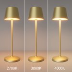 Аккумуляторный светильник Maytoni MOD494RL-L1BSK